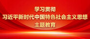 啊啊啊阴棒好大啊～学习贯彻习近平新时代中国特色社会主义思想主题教育_fororder_ad-371X160(2)